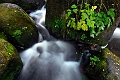 eau 25_09_11 n01